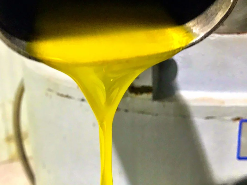 Elige Almazara para hacer aceite de tus propias aceitunas
