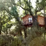 Descubre la magia de las Cabaña en el Aire de Sierra de Gata